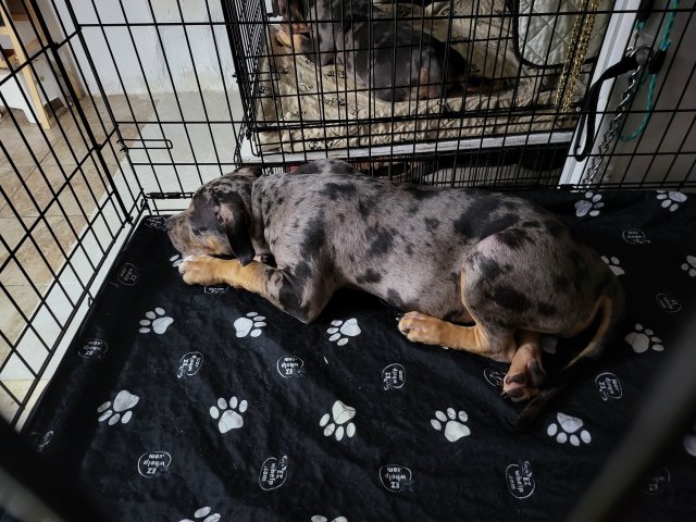 20230702_181022.jpg 20230702_181022.jpg