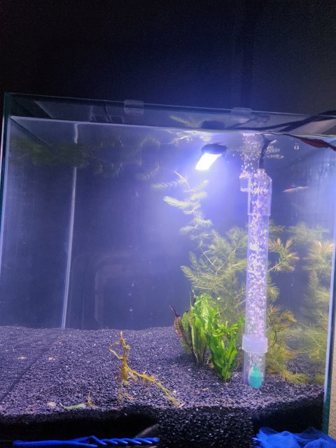 20230706_005211.jpg