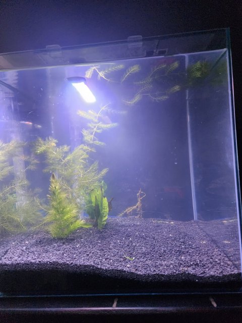 20230706_005235.jpg