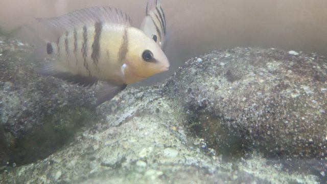 PXL_20230707_004536262.jpg
