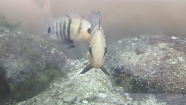 PXL_20230707_004534163.jpg