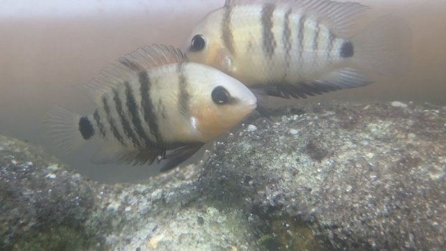 PXL_20230707_004527077.jpg PXL_20230707_004527077.jpg