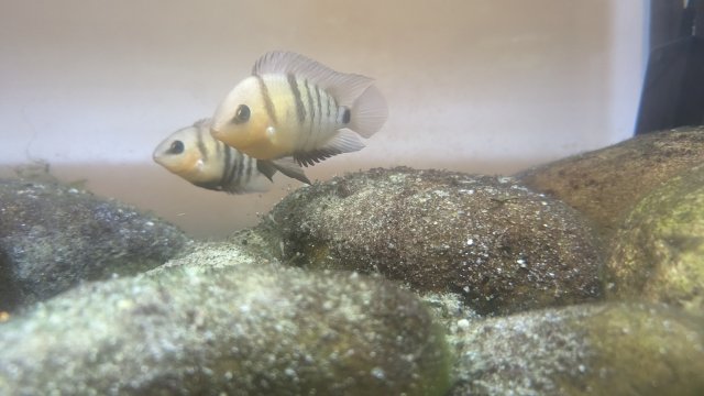 PXL_20230707_004356143.jpg