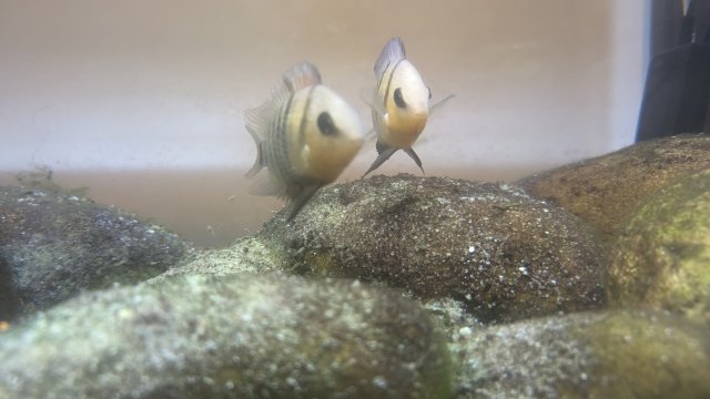 PXL_20230707_004348487.jpg