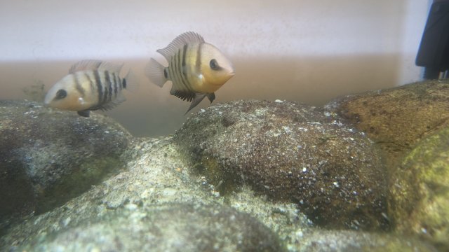 PXL_20230707_004333233.jpg