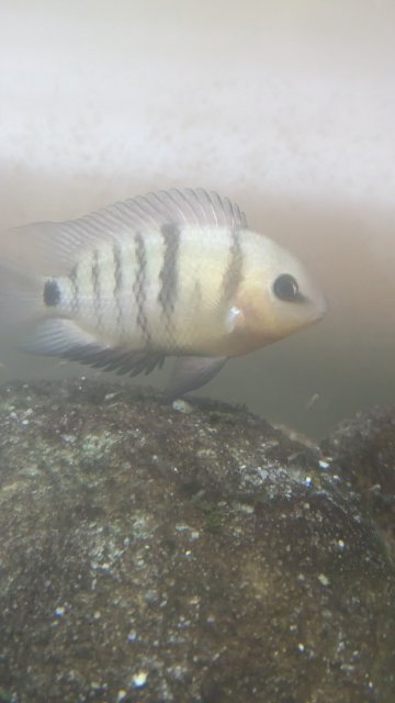 PXL_20230708_000125322.jpg