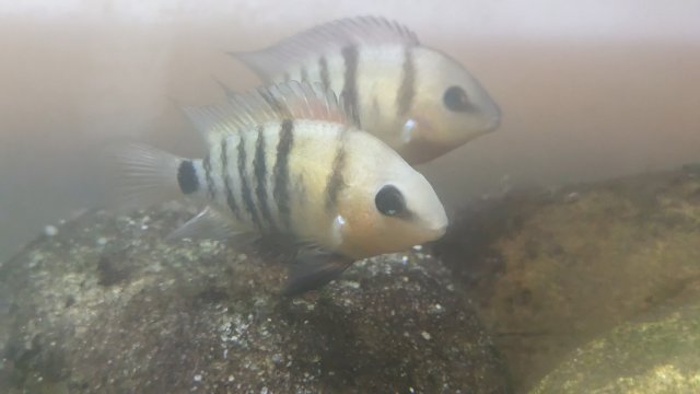 PXL_20230708_000055770.jpg