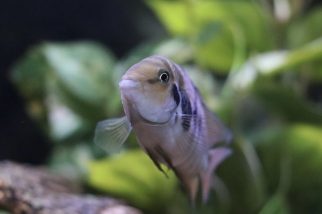 IMG_1718.jpeg IMG_1718.jpeg