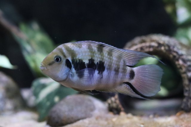 IMG_1693.jpeg IMG_1693.jpeg