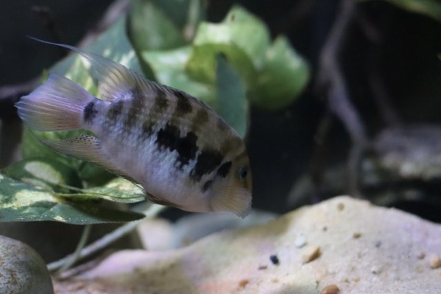 IMG_1732.jpeg IMG_1732.jpeg