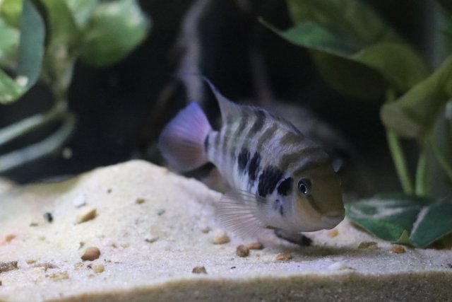 IMG_1735.jpeg IMG_1735.jpeg