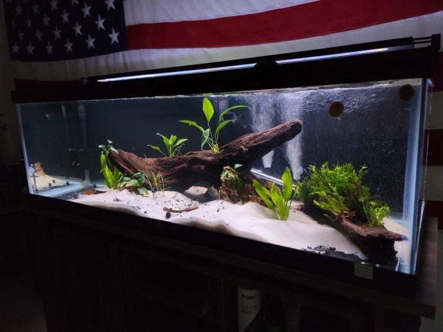 20230602_204450.jpg