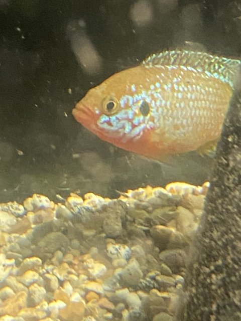 IMG_4569.jpeg IMG_4569.jpeg