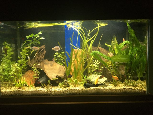 IMG_4403.jpeg IMG_4403.jpeg