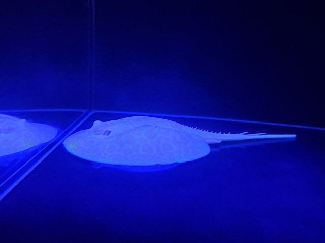 20230711_145641.jpg 20230711_145641.jpg