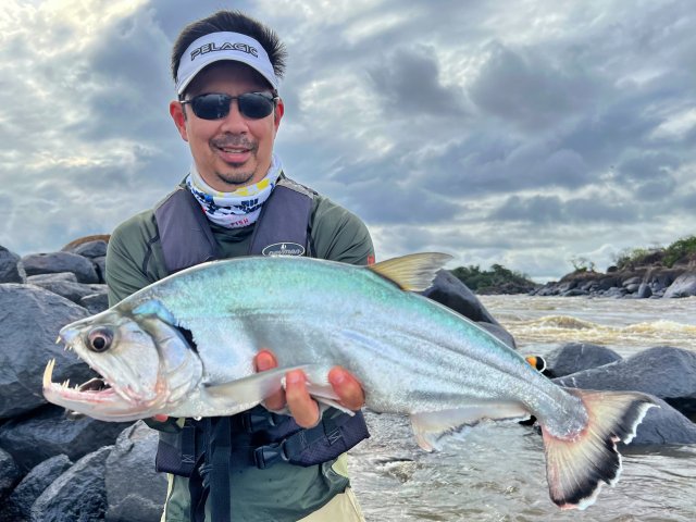 Payara2.jpg