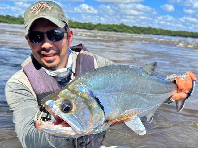 Payara13.jpg