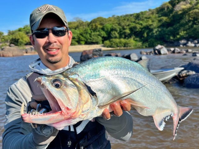Payara12.jpg