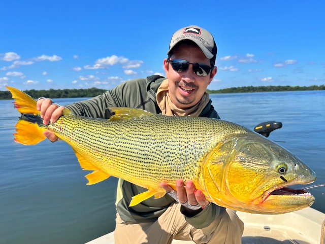 Dorado33.jpg