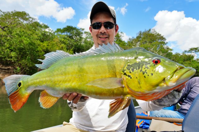 sm13lb.jpg sm13lb.jpg