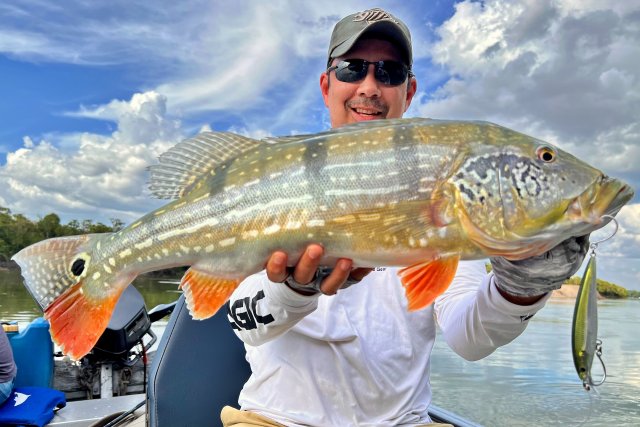 Paca14.jpg Paca14.jpg