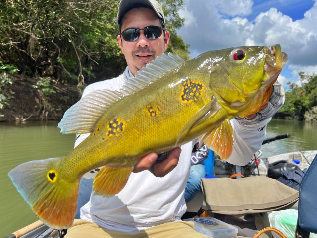 Butterly3.jpg Butterly3.jpg