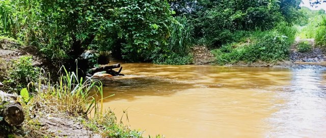 8faee368-8101-40be-a7f8-c34faeb768b8.jpeg 8faee368-8101-40be-a7f8-c34faeb768b8.jpeg