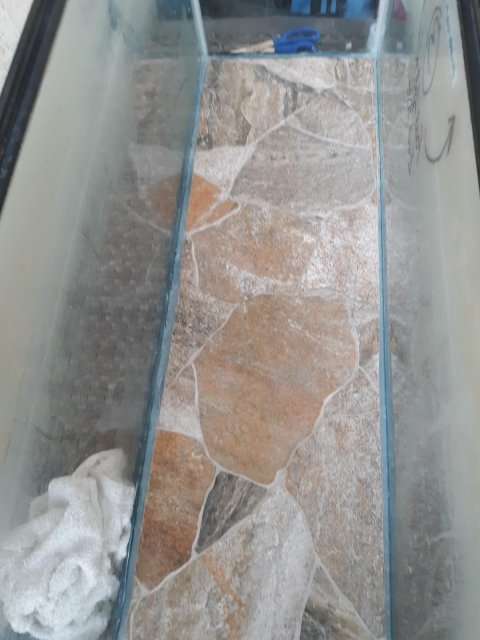 Tile Bottom-3.jpg