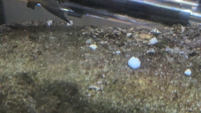 PXL_20230716_024329515.jpg