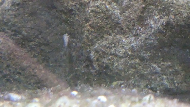 PXL_20230716_024314572.jpg