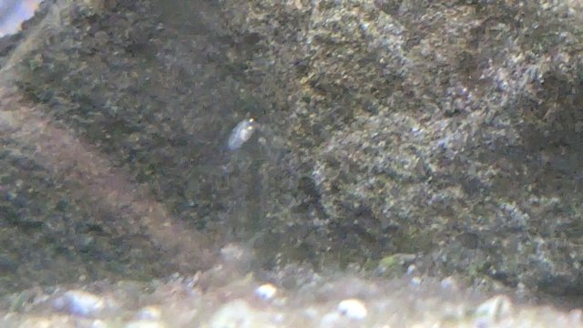 PXL_20230716_024313802.jpg