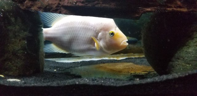 20200120_225053.jpg 20200120_225053.jpg