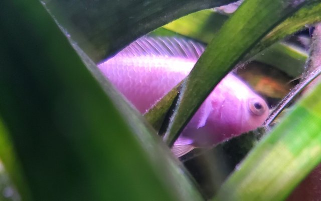 20230717_214026.jpg