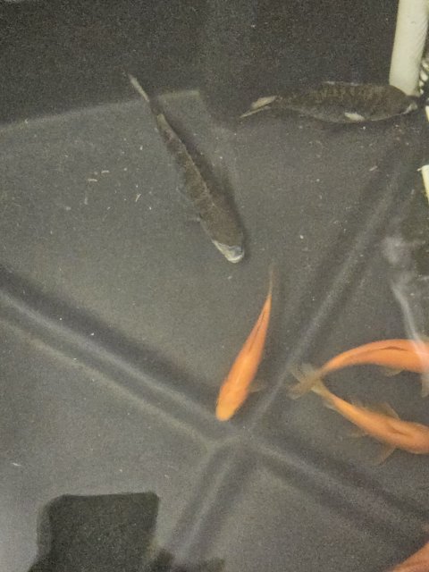 20230630_112849.jpg 20230630_112849.jpg