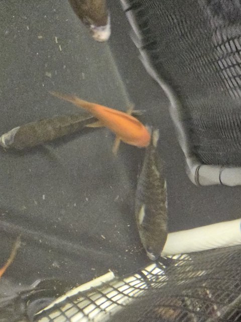 20230630_112854.jpg 20230630_112854.jpg