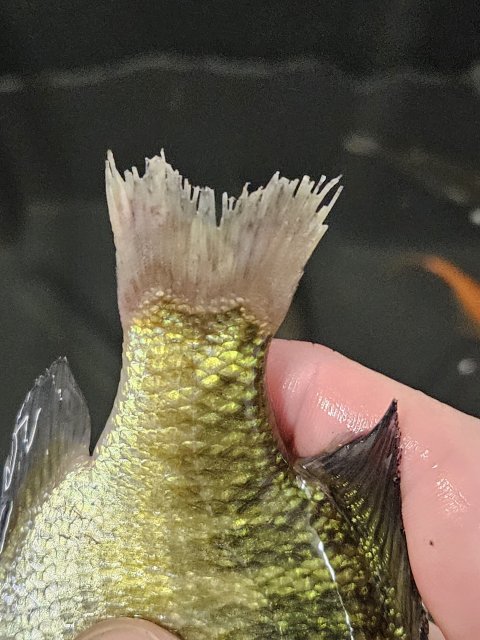 20230630_113431.jpg 20230630_113431.jpg