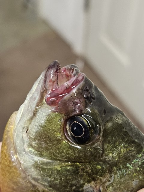 20230630_113458.jpg 20230630_113458.jpg