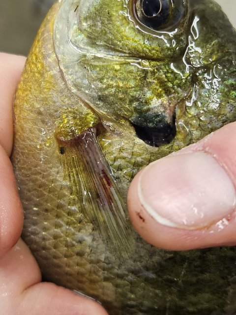 20230630_113501.jpg 20230630_113501.jpg