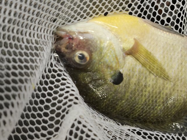 20230630_113515.jpg 20230630_113515.jpg