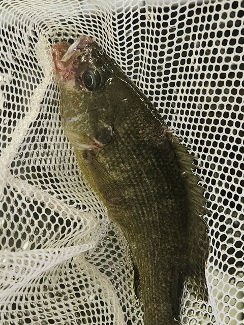 20230630_113602.jpg 20230630_113602.jpg