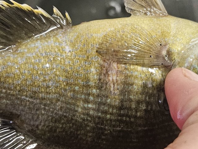 20230630_113613.jpg 20230630_113613.jpg