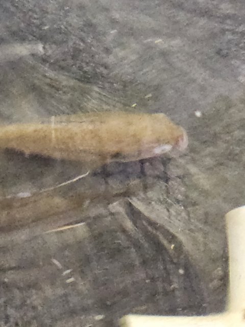 20230630_113715.jpg 20230630_113715.jpg