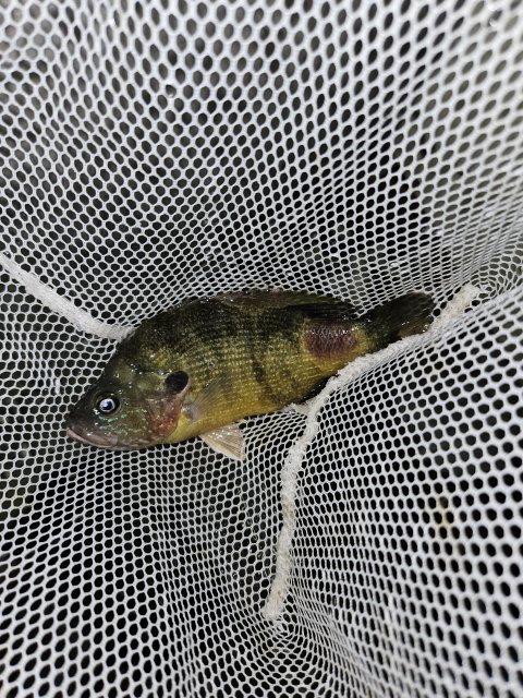 20230718_101121.jpg 20230718_101121.jpg