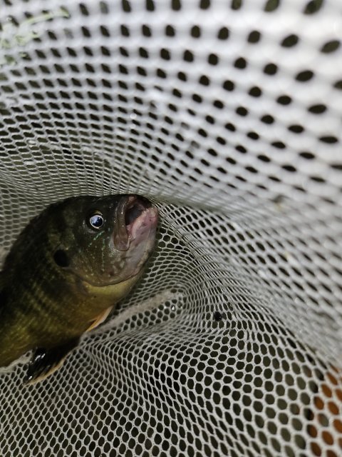 20230718_101138.jpg 20230718_101138.jpg