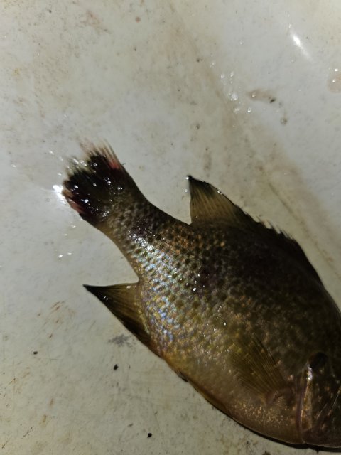 20230718_101145.jpg 20230718_101145.jpg