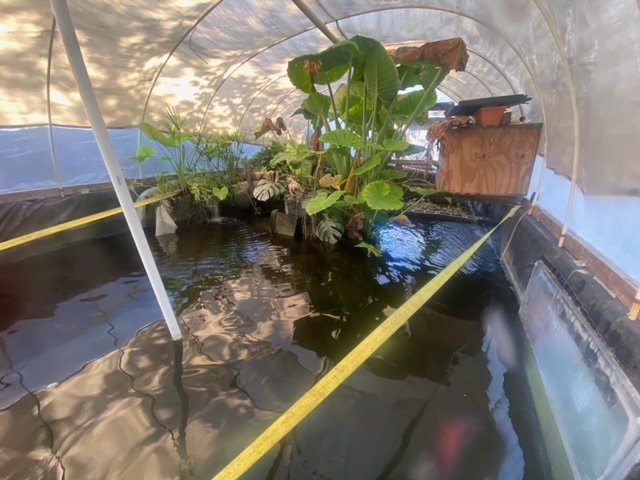 image1 (8).jpeg