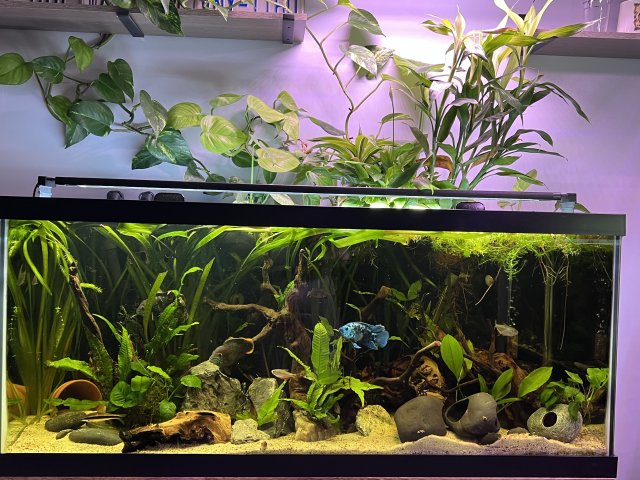 IMG_1200.JPG IMG_1200.JPG