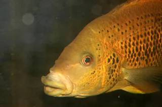 1689932410957.png 1689932410957.png