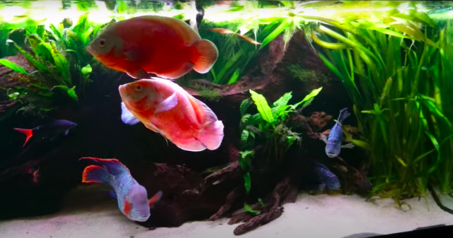 Screenshot 2023-07-23 at 12.52.56 am.png Screenshot 2023-07-23 at 12.52.56 am.png