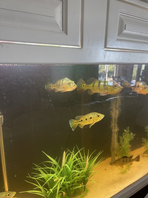 IMG_8092.jpeg IMG_8092.jpeg